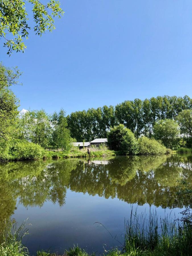 Koza I Brzoza, Domki Z Kontenerow Piechowice  Exterior foto